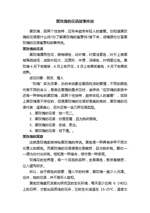 黑玫瑰的花语故事传说