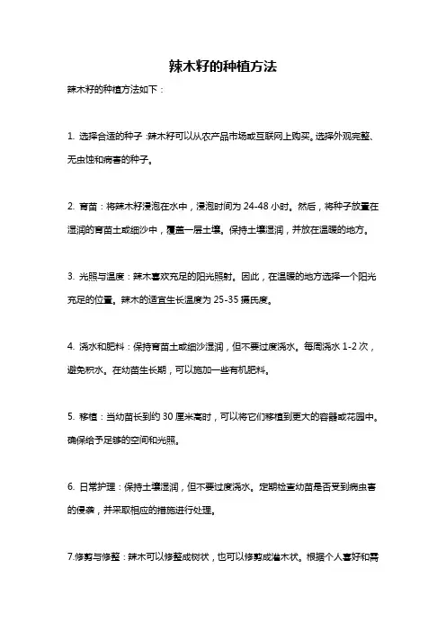 辣木籽的种植方法