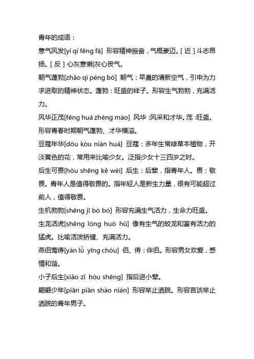 青年的成语