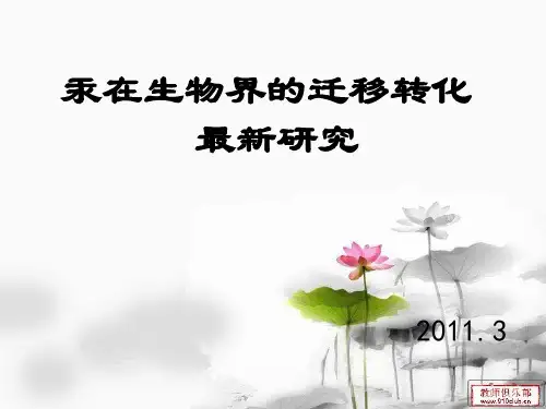 汞在生物界的迁移转化