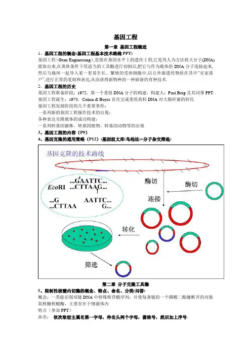 基因工程期末考试重点知识整理