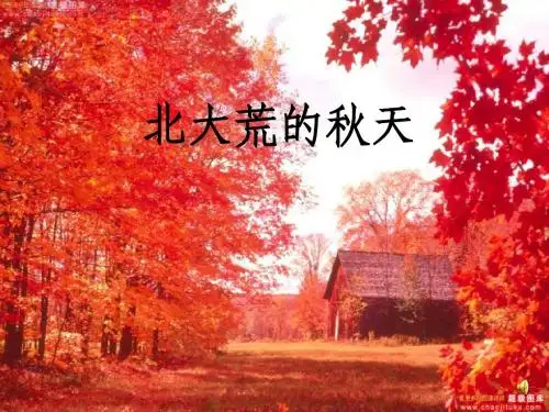 三年级北大荒的秋天PPT课件