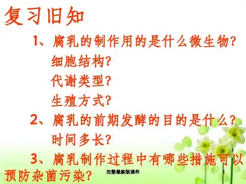 新人教版高中生物选修1泡菜的制作ppt课件 (3)