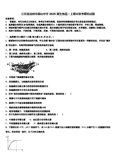 江苏省徐州市铜山中学2025届生物高一上期末联考模拟试题含解析