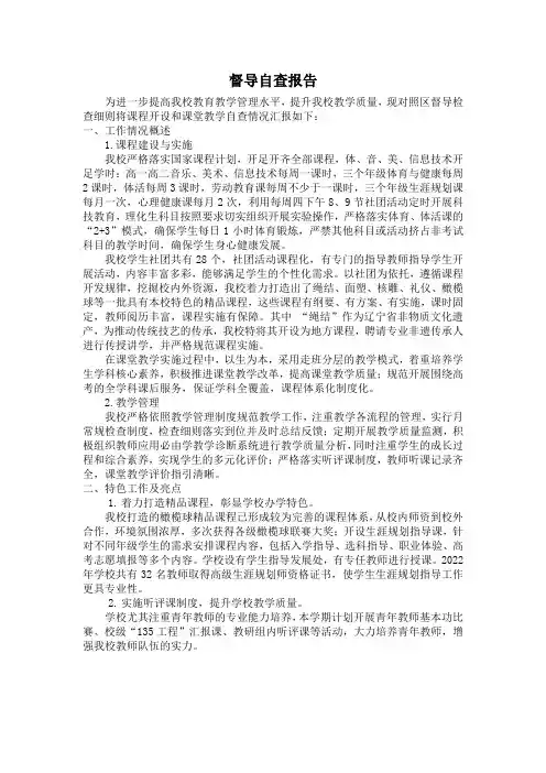 督导自查报告