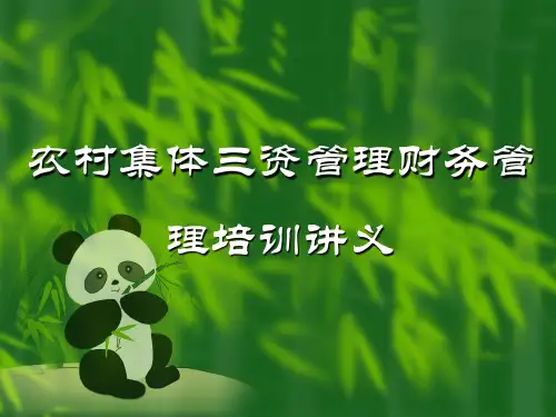 农村集体三资管理财务管理培训讲义