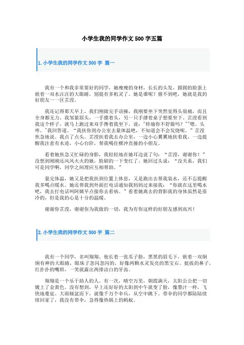 小学生我的同学作文500字五篇