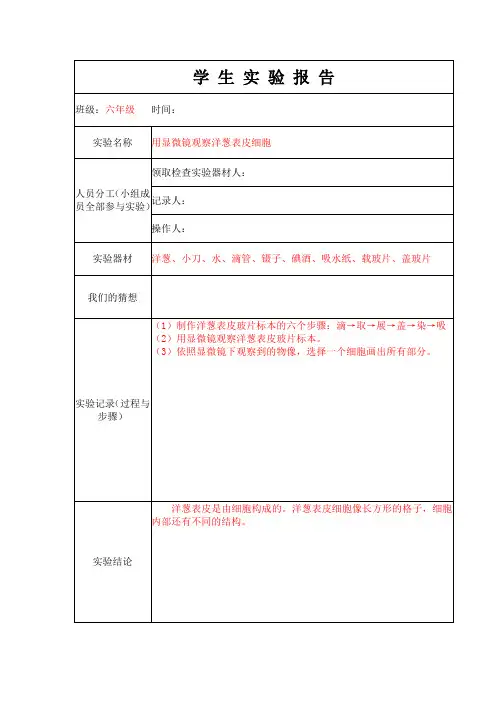 4.用显微镜观察洋葱表皮细胞