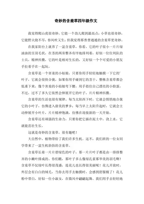 奇妙的含羞草四年级作文精编