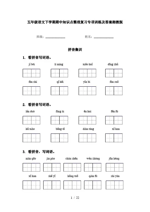 五年级语文下学期期中知识点整理复习专项训练及答案湘教版