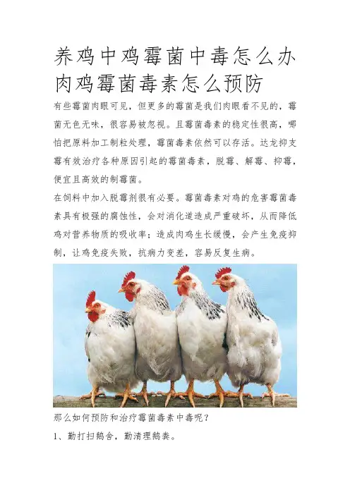 鸡防霉菌病 (1)