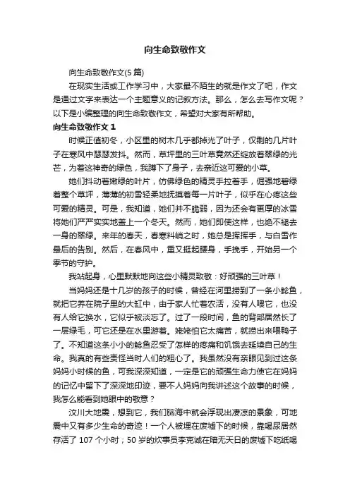 向生命致敬作文（5篇）