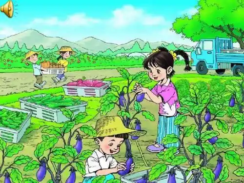 菜园里课件葛金玲(2)