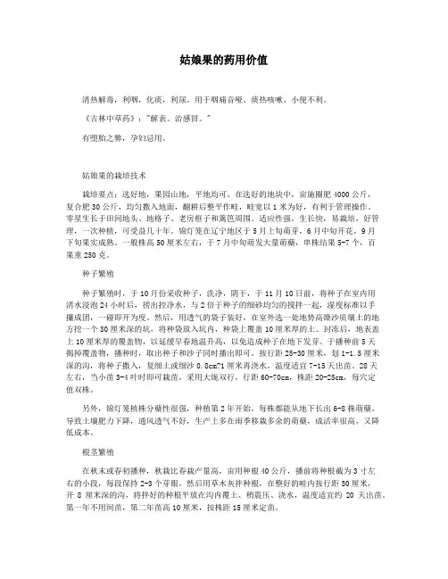 姑娘果的药用价值
