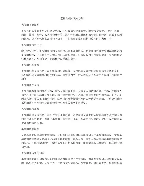 素描头颅知识点总结