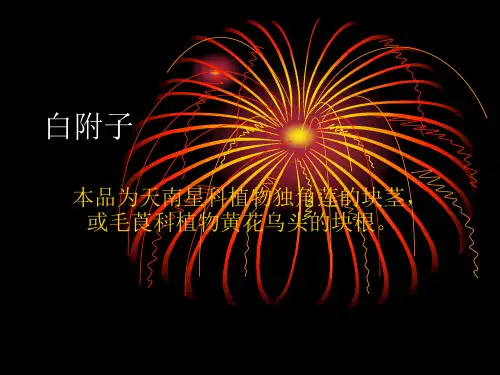 白附子