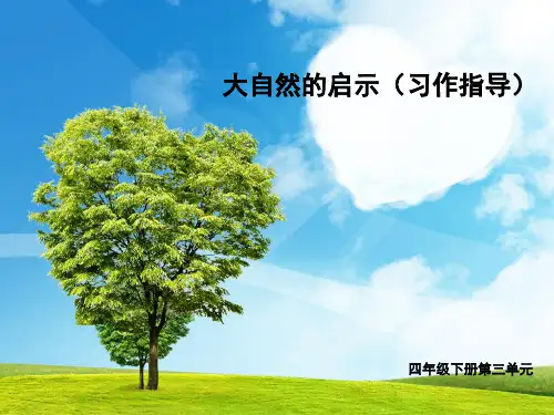 习作三(大自然的启示)  ppt课件