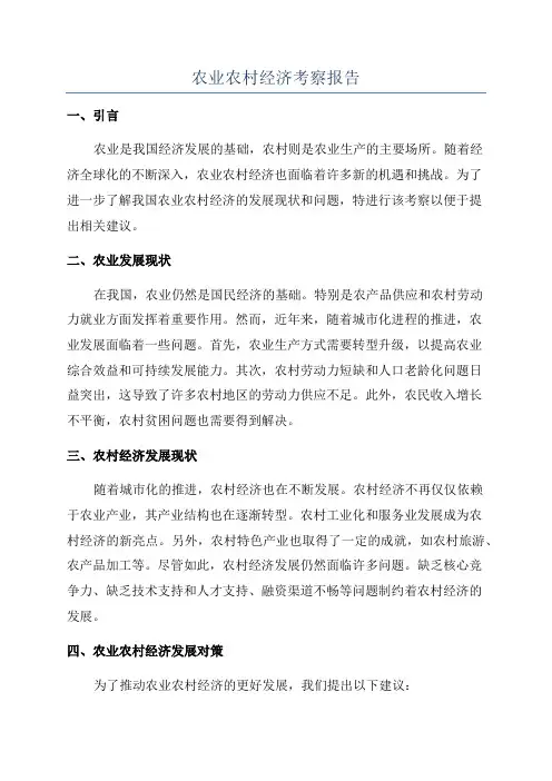 农业农村经济考察报告