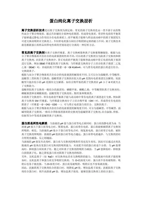 蛋白纯化离子交换层析