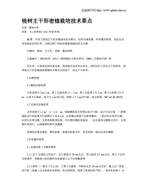 桃树主干形密植栽培技术要点