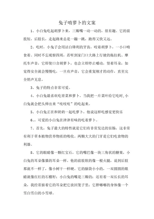 兔子啃萝卜的文案