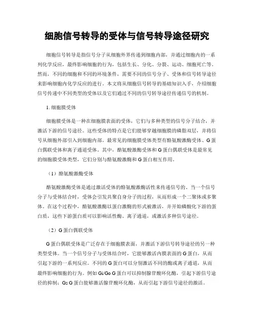 细胞信号转导的受体与信号转导途径研究