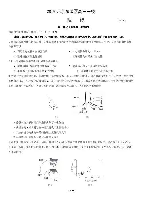 2019东城区高三一模试题理综和答案.docx