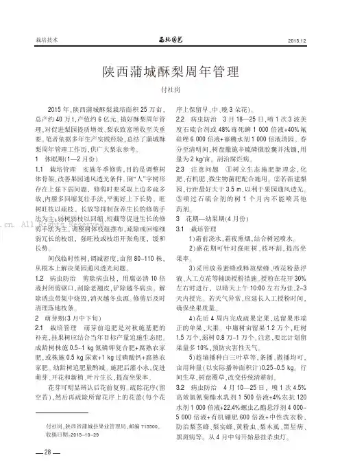 陕西蒲城酥梨周年管理