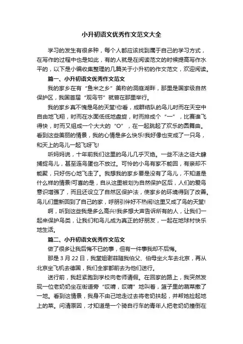 小升初语文优秀作文范文大全