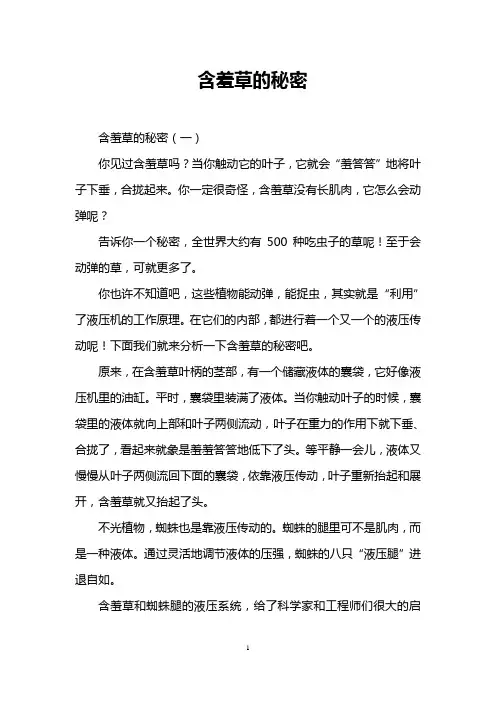 含羞草的秘密
