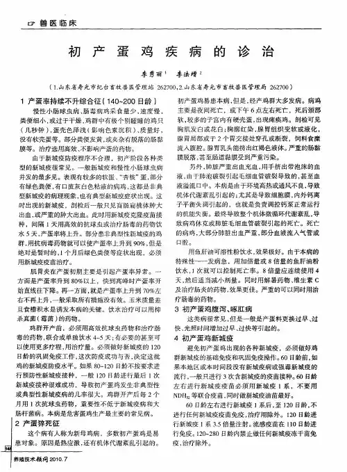 初产蛋鸡疾病的诊治