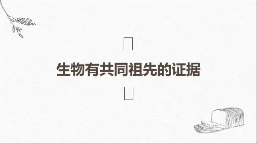 人教版高中生物必修二《生物有共同祖先的证据》课件,共25页