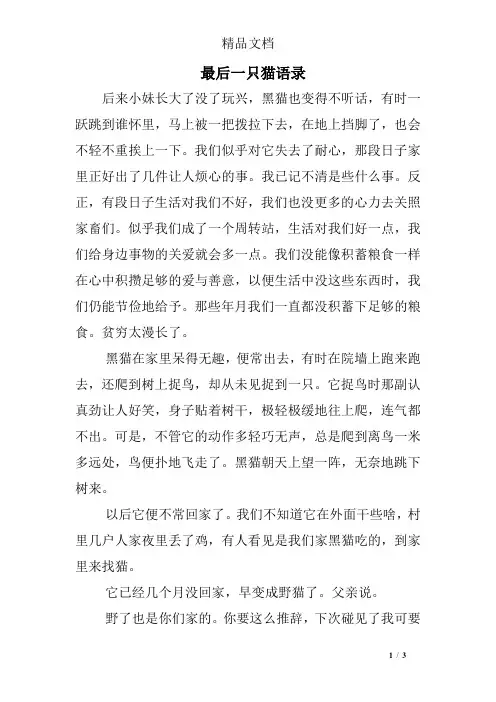最后一只猫语录