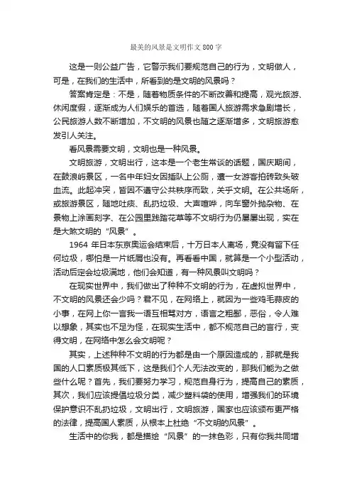 最美的风景是文明作文800字_文明礼仪作文_