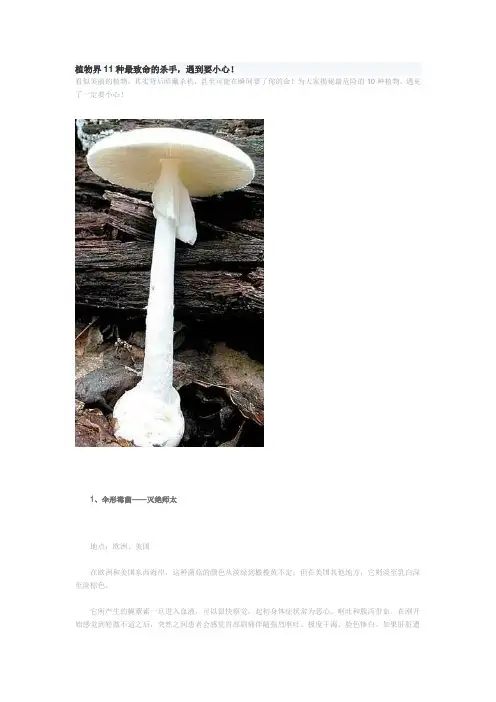 植物界11种最致命的杀手
