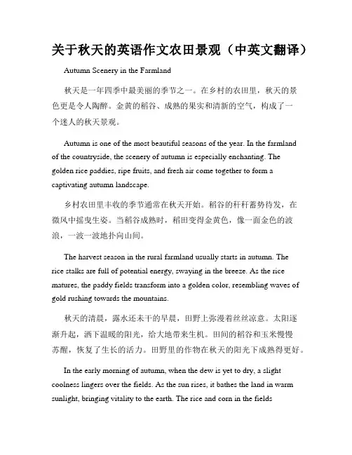 关于秋天的英语作文农田景观(中英文翻译)