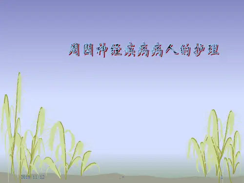 内科护理学周围神经疾病护理PPT课件