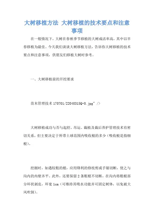 大树移植方法 大树移植的技术要点和注意事项