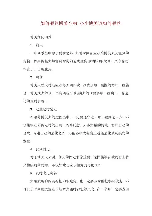 如何喂养博美小狗-小小博美该如何喂养