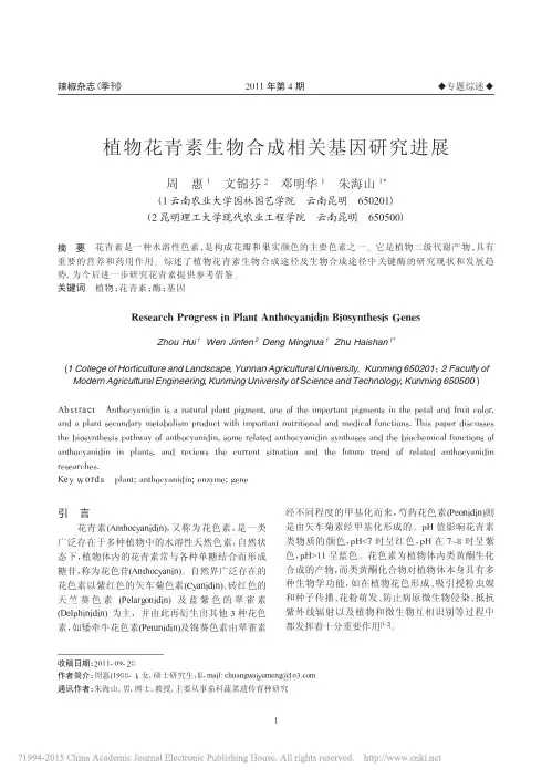 植物花青素生物合成相关基因研究进展_周惠