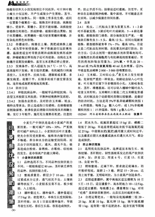小麦倒伏及预防措施
