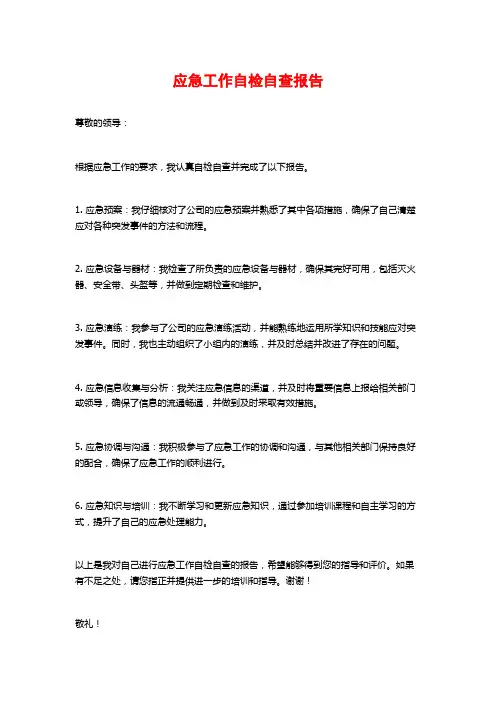 应急工作自检自查报告 (2)