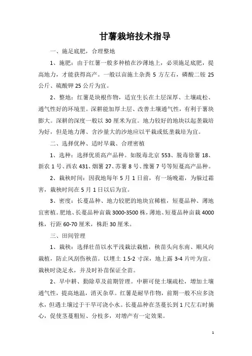 甘薯栽培技术指导