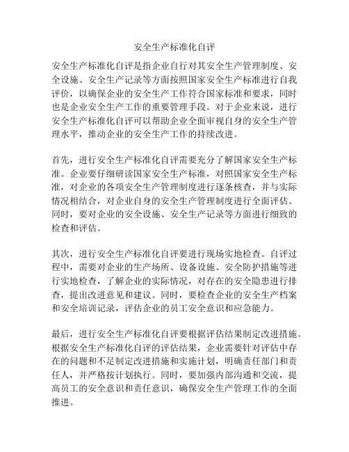安全生产标准化自评