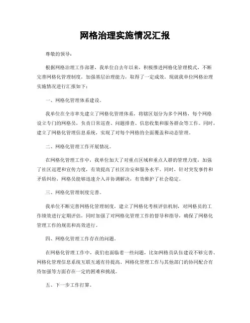 网格治理实施情况汇报