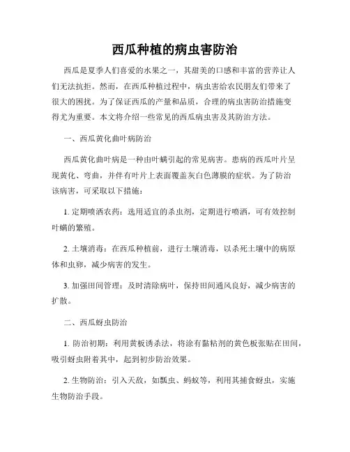 西瓜种植的病虫害防治