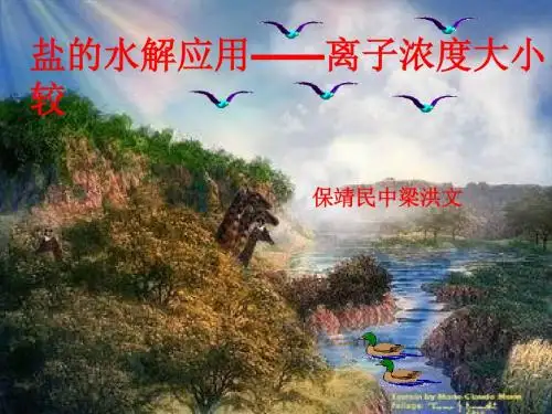 化学课件《盐的水解应用——离子浓度大小比较》优秀ppt 人教课标版