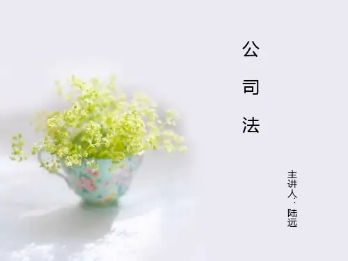 01第一章 公司与公司法