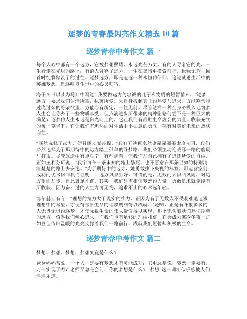 逐梦的青春最闪亮作文精选10篇