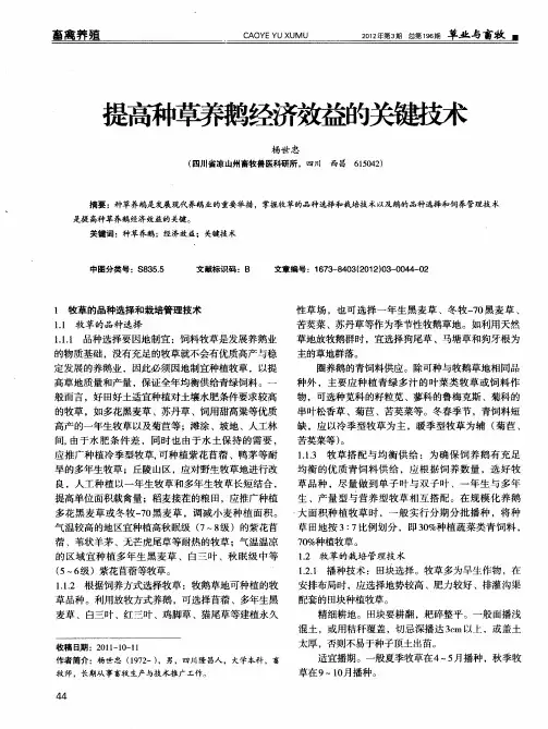 提高种草养鹅经济效益的关键技术